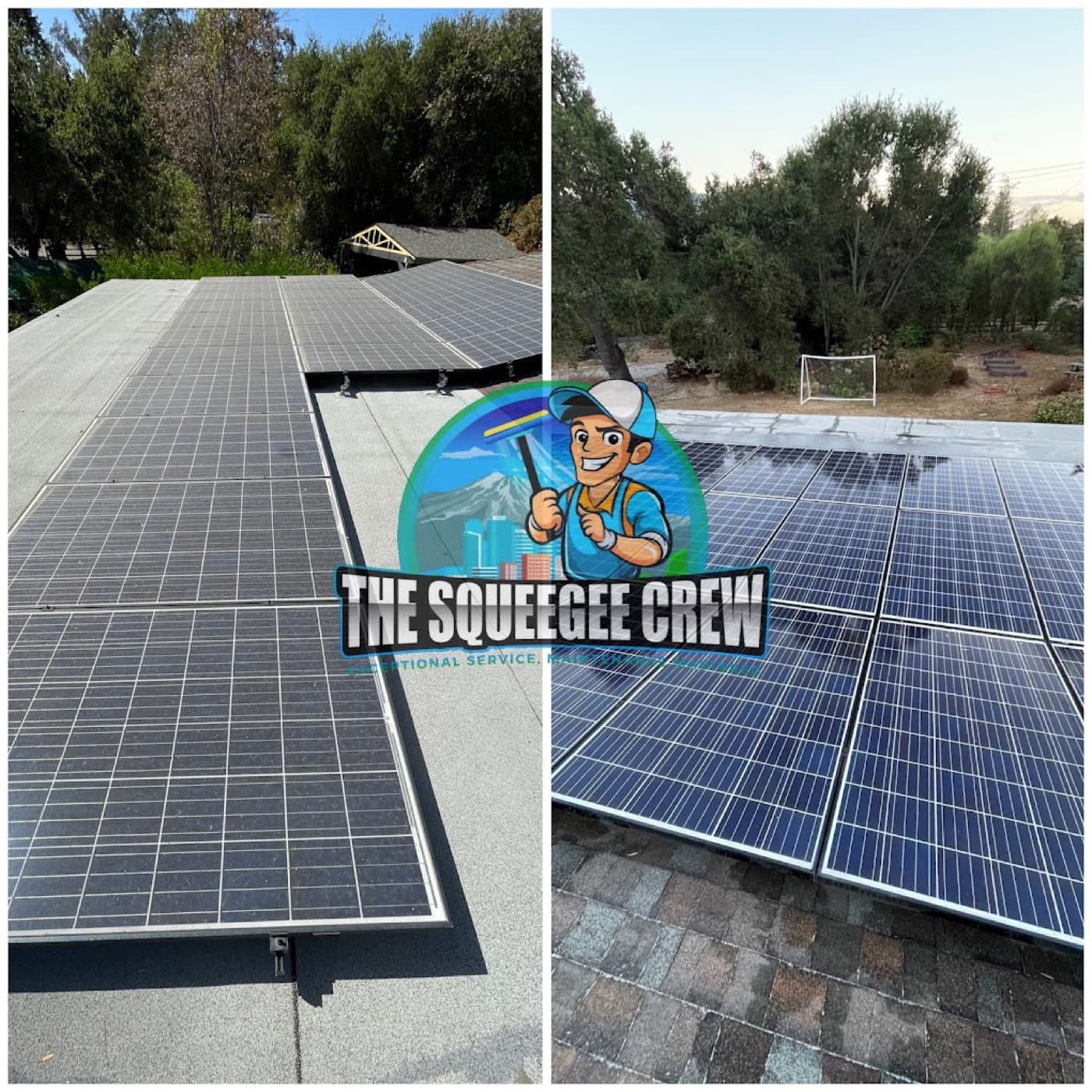 Solar Panel Cleaning before and after by The Squeegee Crew